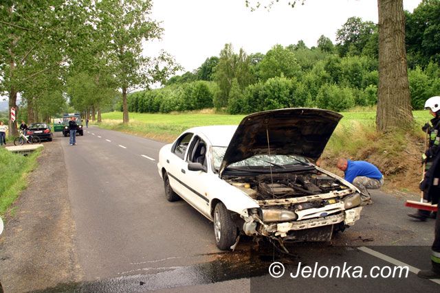 Region Jeleniogórski: Dachowanie między drzewami