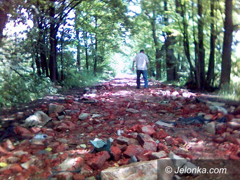 Region Jeleniogórski: Dorośli wandale "skasowali" odcinek trasy rowerowej
