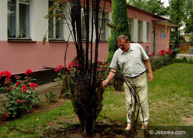 JELENIA GÓRA: Chuligani i wandale zmorą dzierżawców