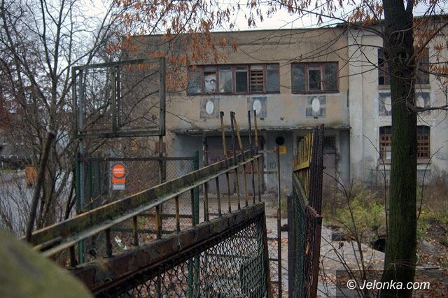 JELENIA GÓRA: Oszust pił z kolegami, a potem szczuł ich psem