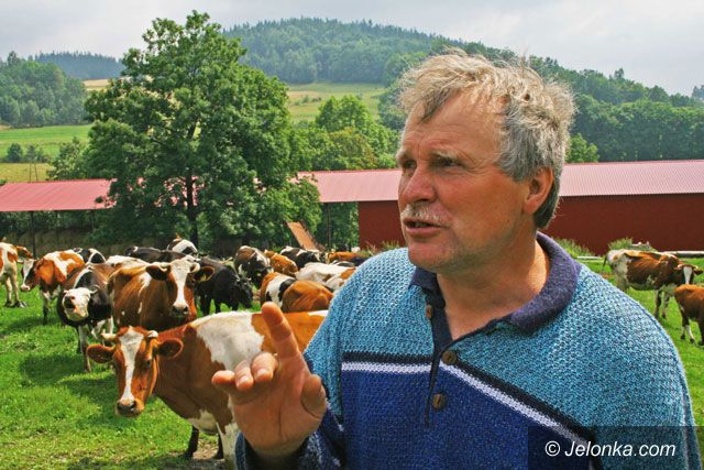 Region Jeleniogórski: Droga do śmierci dla krów