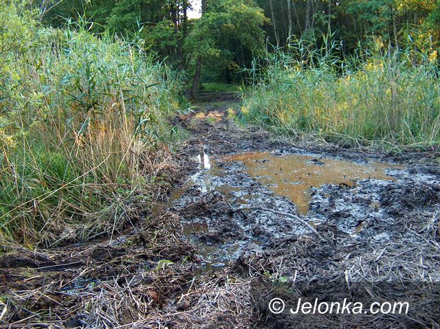 JELENIA GÓRA: „Crossowcy” utrapieniem kierowców i przyrody