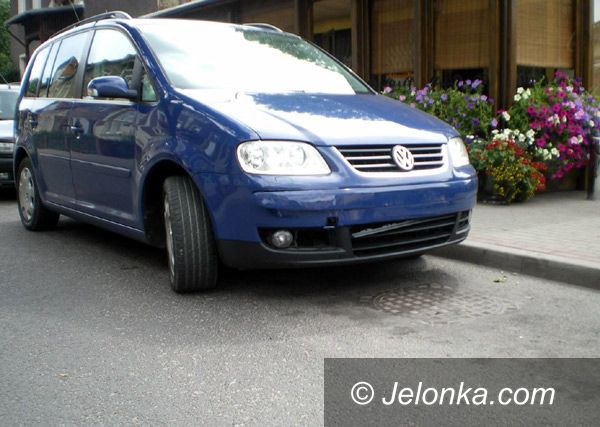 JELENIA GÓRA: Dzikie zwierzęta pod kołami i na poboczach