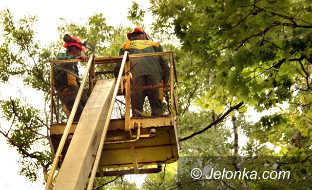 JELENIA GÓRA: Bezpieczniej przejdziesz przez park