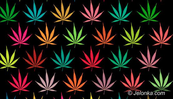 JELENIA GÓRA/KRAJ: Chcą legalizacji