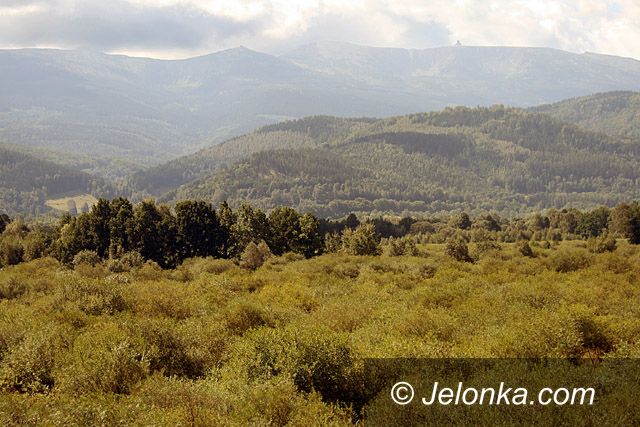 JELENIA GÓRA: Cudze chwalicie, swego nie znacie