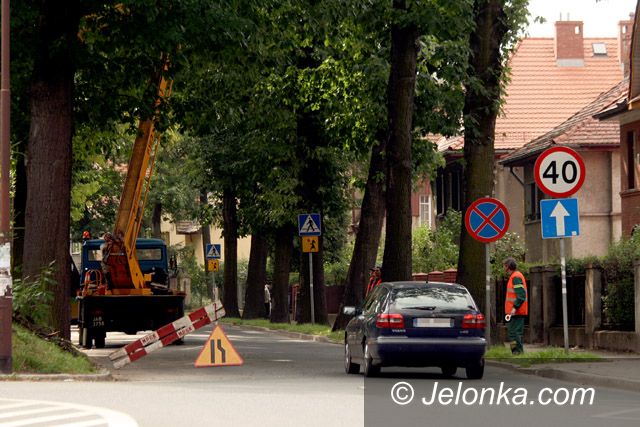 JELENIA GÓRA: Piłą uchronią pojazdy przed uszkodzeniem