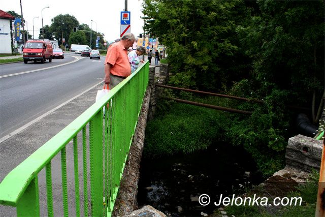 JELENIA GÓRA: Pozorne sprzątanie śmierdzącej Młynówki