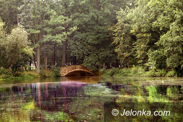 JELENIA GÓRA: Staw w Parku Norweskim będzie jak nowy