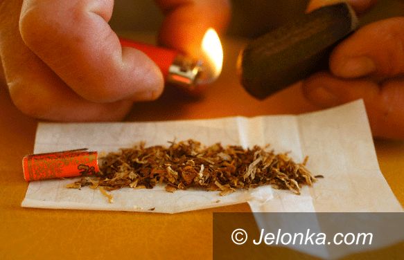 REGION JELENIOGÓRSKI: Giga–plantacja „ziółek” zlikwidowana