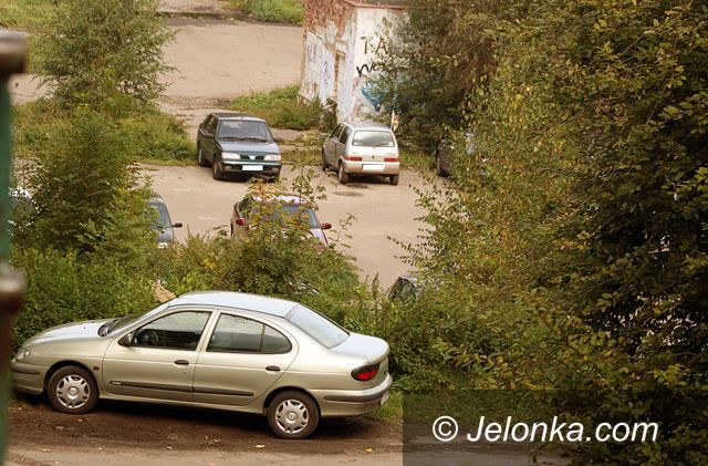 JELENIA GÓRA: „Parkingowi” pobierają haracze