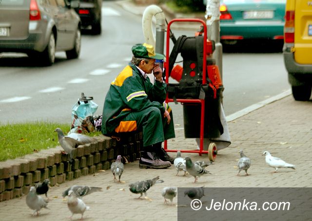 JELENIA GÓRA: Jeden „odkupiacz” na sześć tysięcy psów