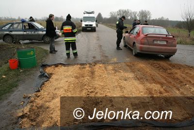 REGION: Ptasia grypa powraca