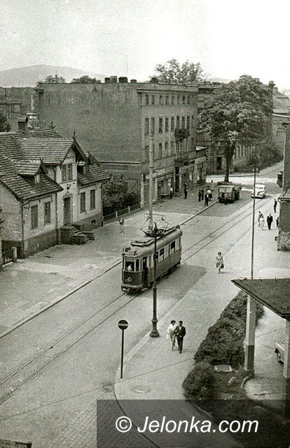 JELENIA GÓRA: Fotozagadka Jelonki