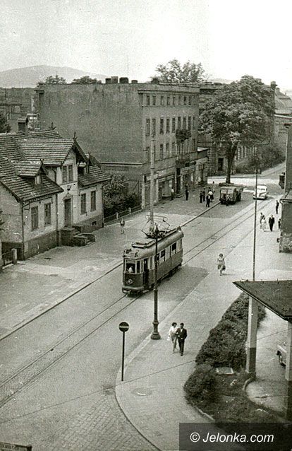 JELENIA GÓRA: Fotozagadka Jelonki