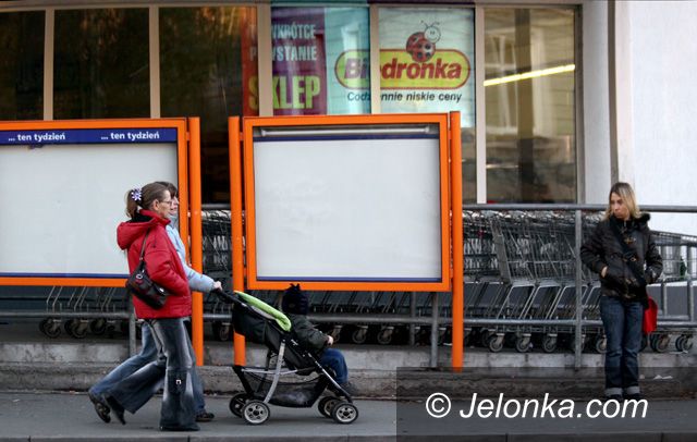 JELENIA GÓRA: Biedronka prawie jak stonka