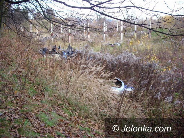 JELENIA GÓRA: Dziki szrot przy boisku