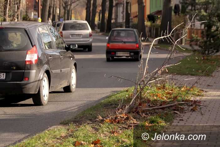 JELENIA GÓRA: Pędem w drzewko po wariacku