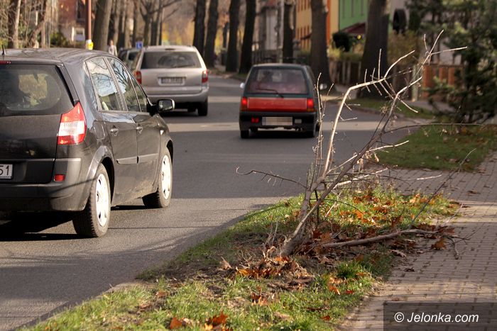 JELENIA GÓRA: Pędem w drzewko po wariacku
