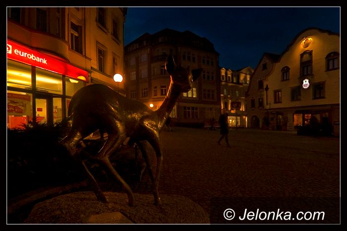 JELENIA GÓRA: Ubierz jelonka, wybierz mu imię