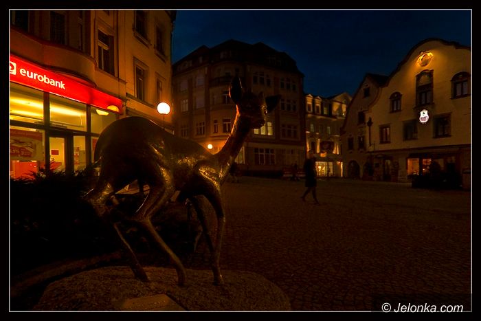 JELENIA GÓRA: Ubierz jelonka, wybierz mu imię