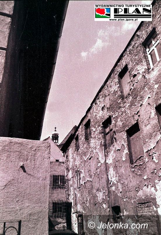 JELENIA GÓRA: Fotozagadka Jelonki z Wydawnictwem „Plan”