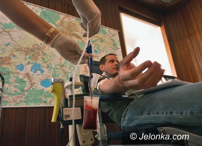 JELENIA GÓRA: Nie bądź żyła, oddaj krew