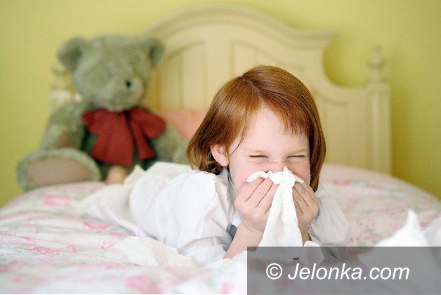 JELENIA GÓRA: Grypa ścina z nóg