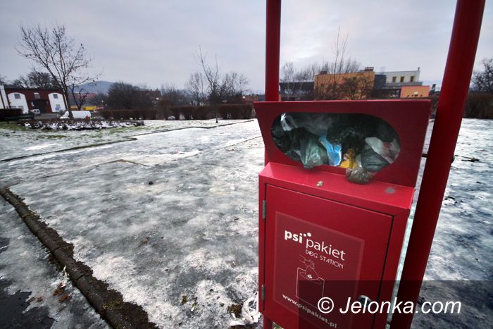 JELENIA GÓRA: Psia kupa do kosza, ale&#8230; kto to posprząta