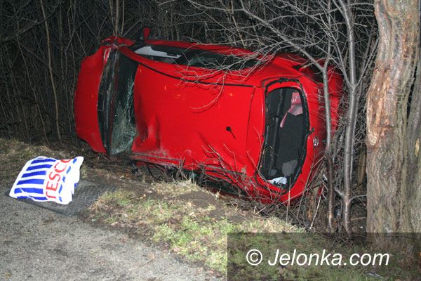 JELENIA GÓRA: Dachowanie na Wolności