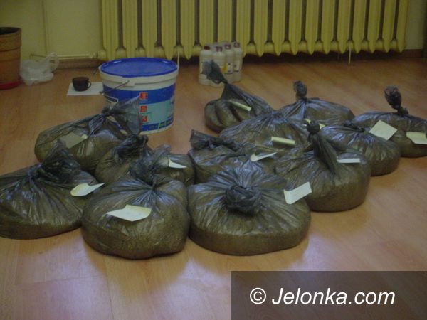 JELENIA GÓRA REGION: Policja zapobiegła zalaniu rynku „kompotem”