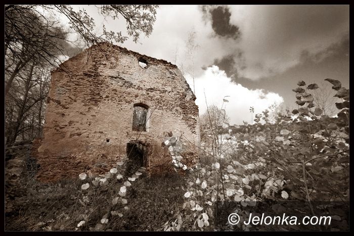 JELENIA GÓRA: Zwiedzą region na raty