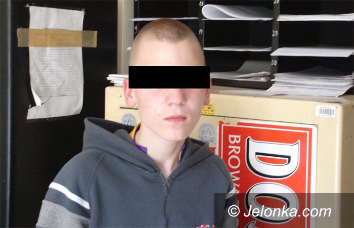 JELENIA GÓRA: Skradziony słoń nie dał mu szczęścia