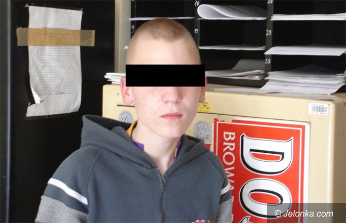 JELENIA GÓRA: Skradziony słoń nie dał mu szczęścia