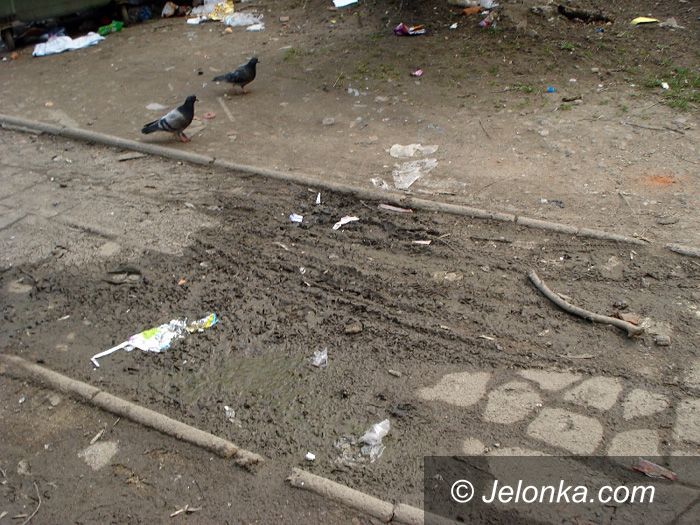 JELENIA GÓRA: Skazani na podwórkowe śmietnisko