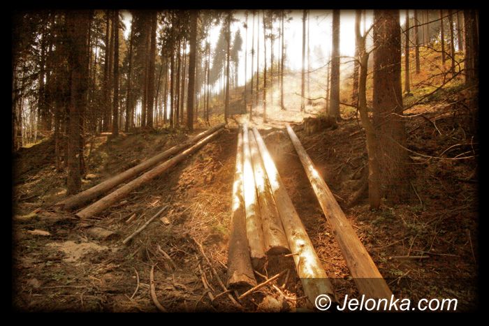 JELENIA GÓRA: Utrudnienia w Borowym Jarze