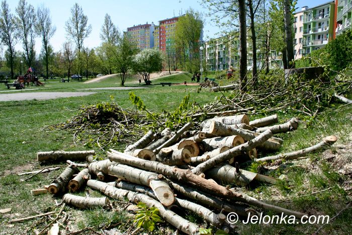 JELENIA GÓRA: Ścinka przy placu zabaw
