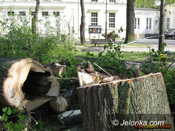 JELENIA GÓRA: Wiatr zaszalał: niedziela w ogniu