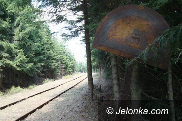 REGION: Tory do granicy w rękach marszałka