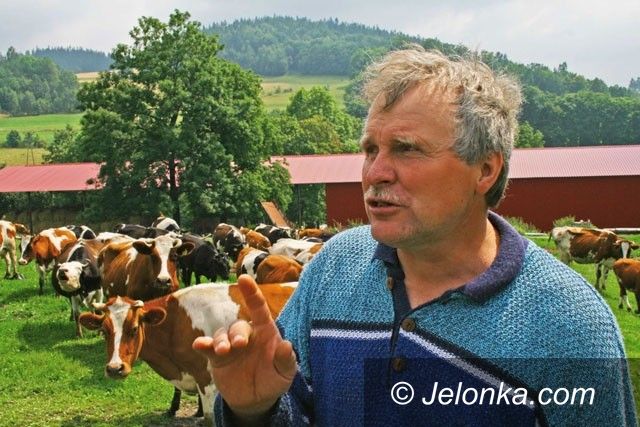 REGION: Przez drogę na rzeź