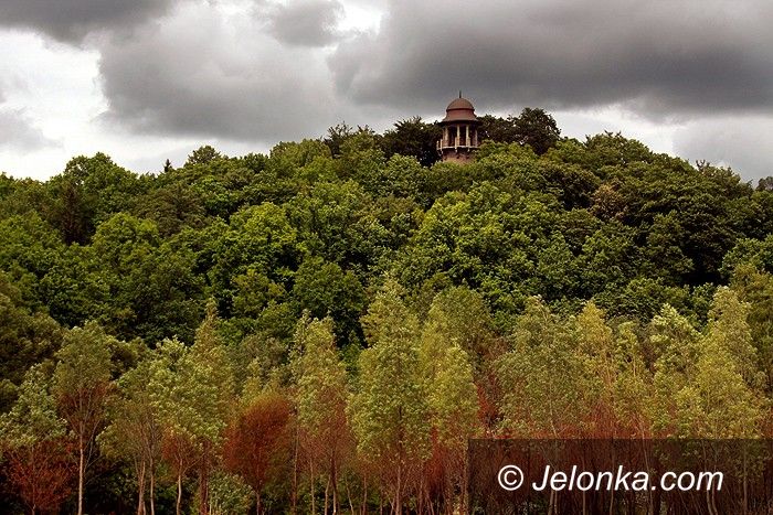 JELENIA GÓRA: Średniowieczny śmietnik skarbcem dla archeologa – video
