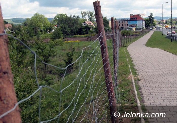 JELENIA GÓRA: Ruszy budowa Castoramy