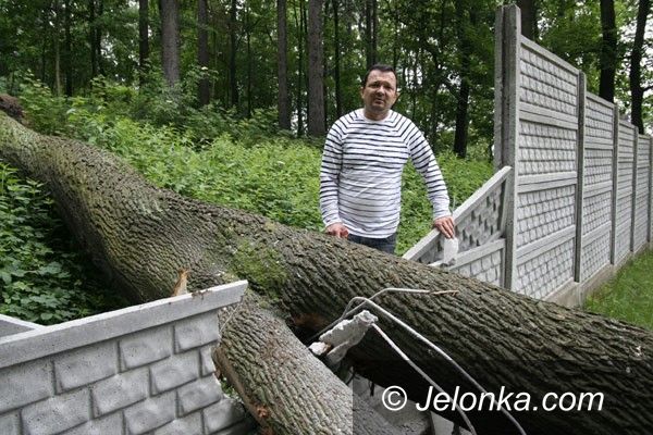 Jelenia Góra: Klon połamał ogrodzenie