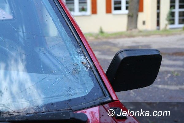 JELENIA GÓRA: Burza zaszalała, drzewa połamała