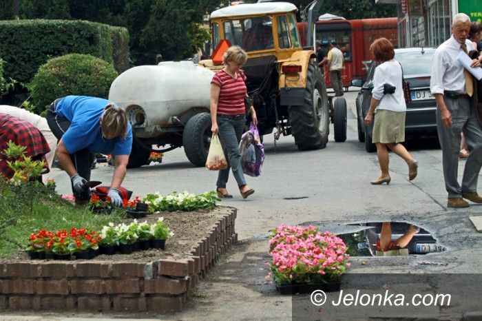 JELENIA GÓRA: Kiedyś Bankowa tonęła w kwiatach