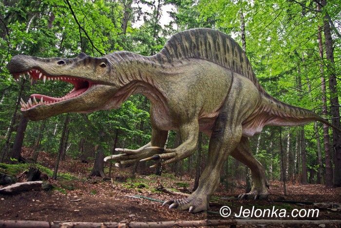 REGION: Swojski "Jurrasic Park" pod kluczem