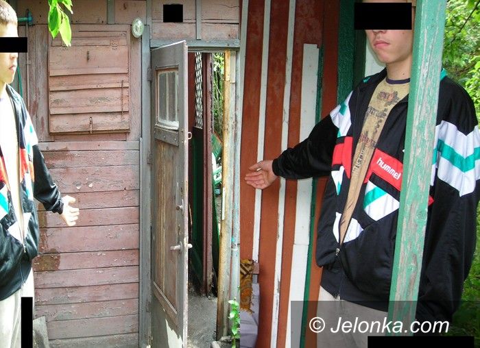 JELENIA GÓRA: Małolat plądrował altanki