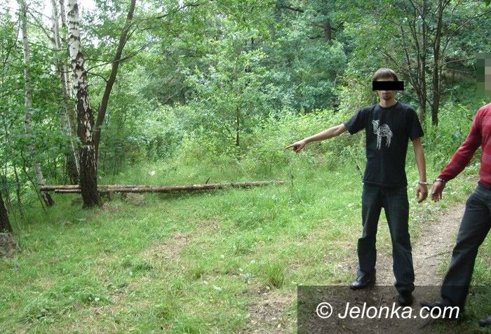 JELENIA GÓRA: Ukradł siedem volkswagenów i nie tylko