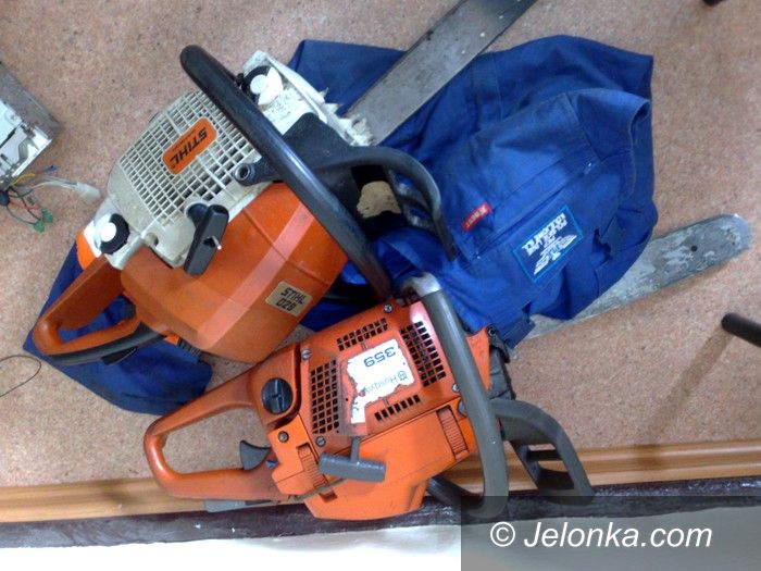 JELENIA GÓRA: Pod osłoną nocy wycinał drzewo