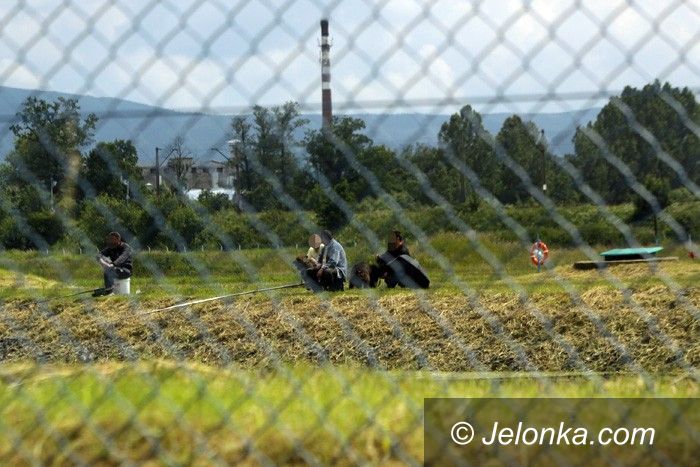 JELENIA GÓRA: Na rybki w zbiornikach wody pitnej